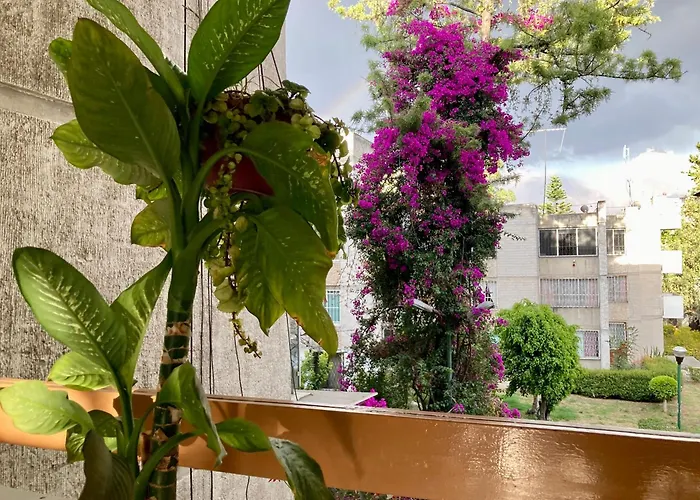 Rincon Coapa Casa De Huespedes Bed & Breakfast